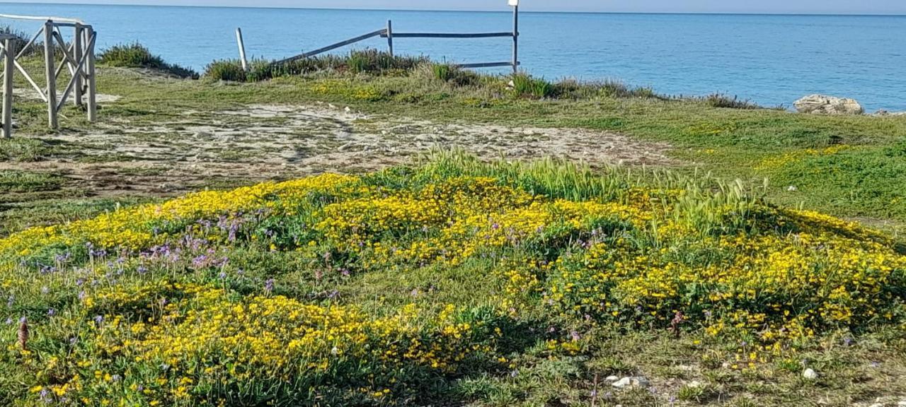 Villino Il Melograno Villa Torre Specchia Ruggeri Dış mekan fotoğraf