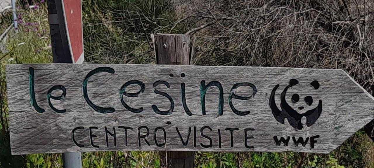 Villino Il Melograno Villa Torre Specchia Ruggeri Dış mekan fotoğraf